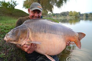 Ardy Veltkamp